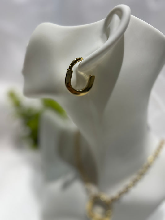 U Earrings
